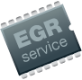 EGR Service Badge A